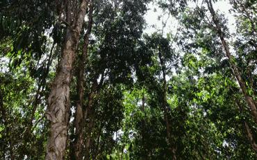 深圳市新桥足球公园,深圳足球公园免费开放