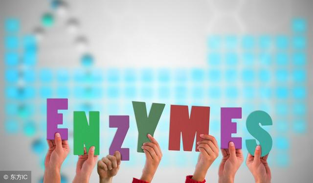 酵素怎么吃才能起到减肥的效果,酵素到底是什么对人体有什么好处