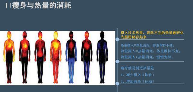 酵素怎么吃才能起到减肥的效果,酵素到底是什么对人体有什么好处