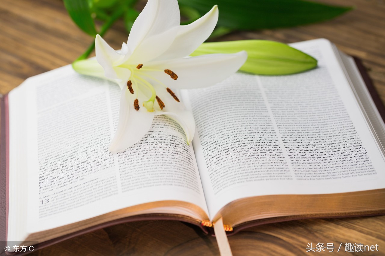 极品公子叶河图小说下载,极品公子叶河图原文