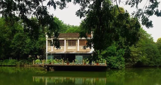 盛夏霸都合肥,漫步城市,像当地人一样生活