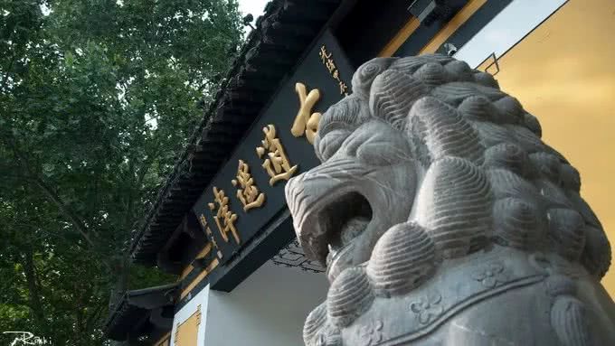 盛夏霸都合肥,漫步城市,像当地人一样生活