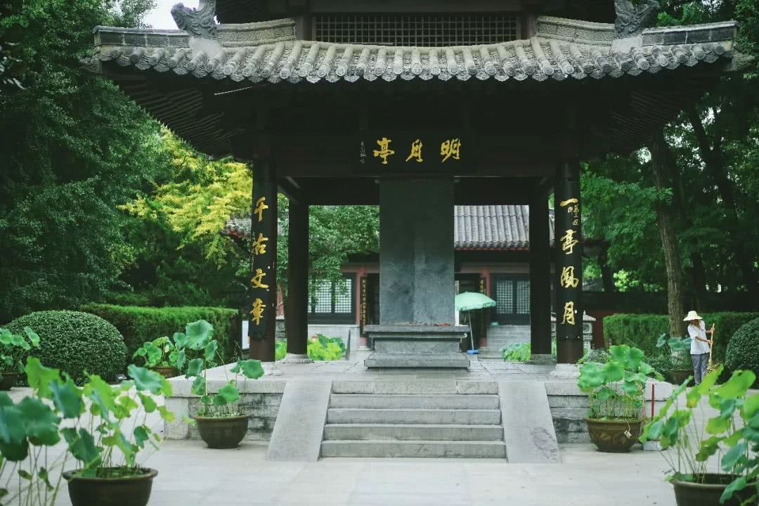 盛夏霸都合肥,漫步城市,像当地人一样生活