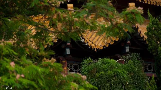 盛夏霸都合肥,漫步城市,像当地人一样生活