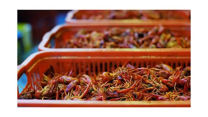 盛夏霸都合肥,漫步城市,像当地人一样生活