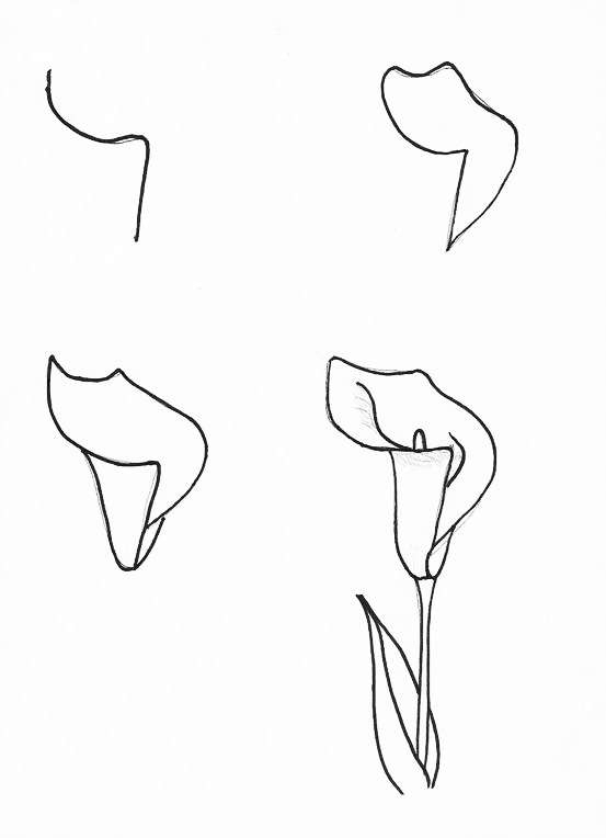 零基础学习简笔画花朵入门,简笔画花卉大全简单小学生