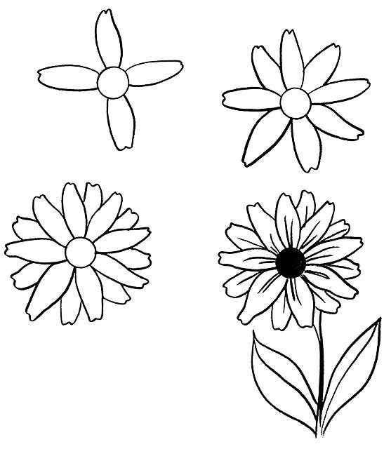 零基础学习简笔画花朵入门,简笔画花卉大全简单小学生