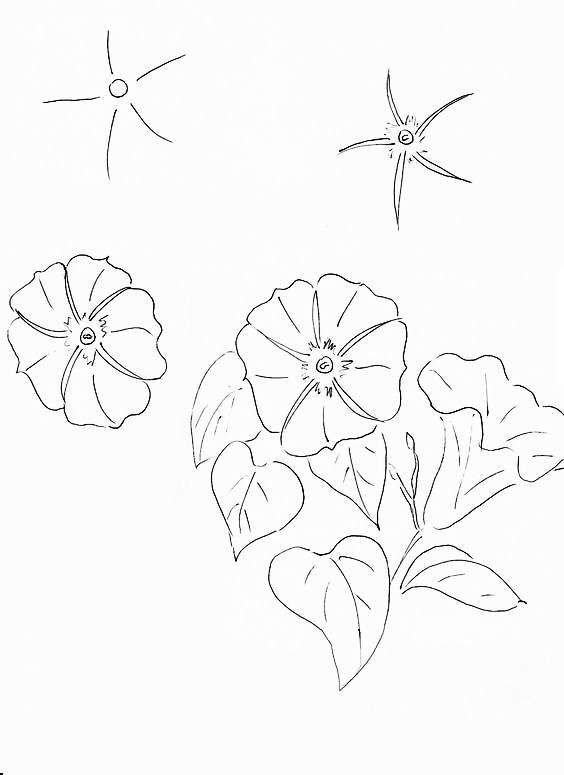 零基础学习简笔画花朵入门,简笔画花卉大全简单小学生