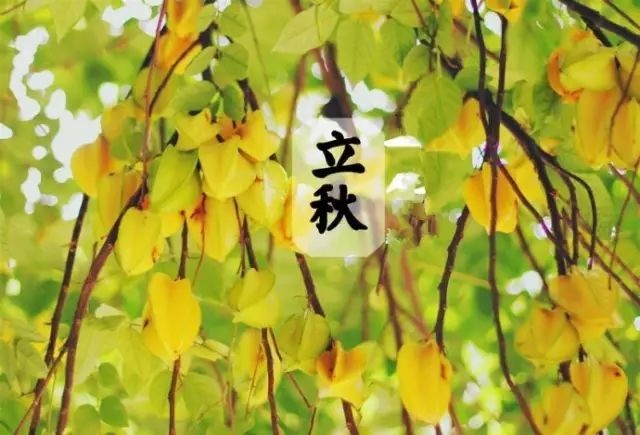 有哪些关于立秋的小知识,今日立秋有啥说道吗