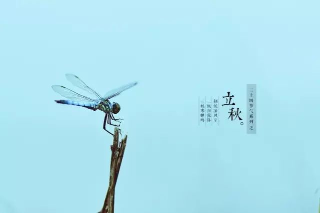 有哪些关于立秋的小知识,今日立秋有啥说道吗