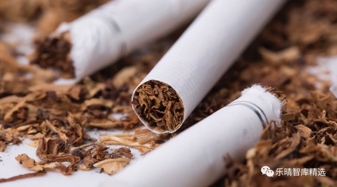 *草烟**行业:新型*草烟**向阳而生