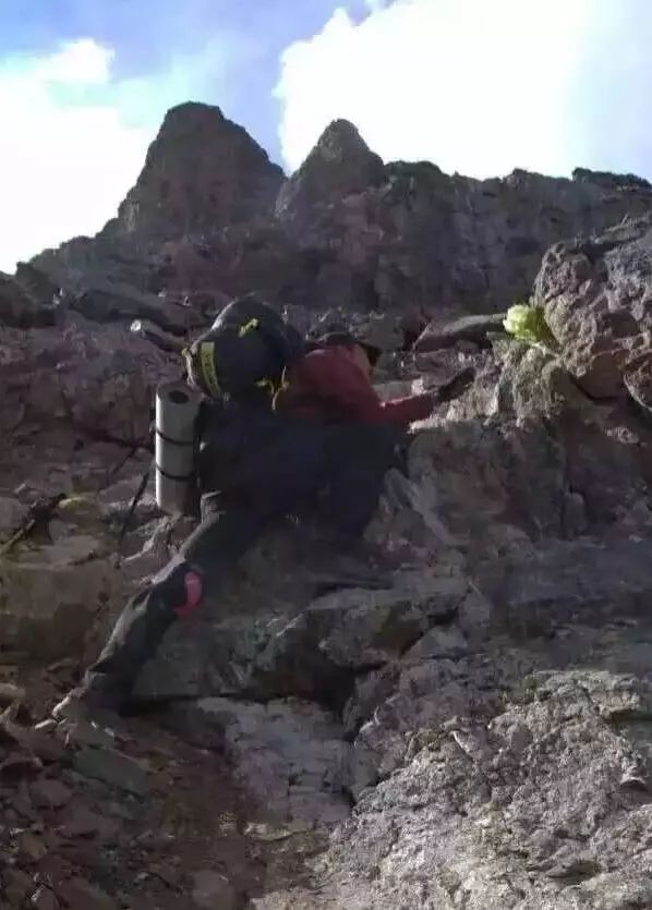 「昨日推文」哭泣的雪兔子，已经被人类挖到濒临灭绝！请高抬贵手放过它们吧！