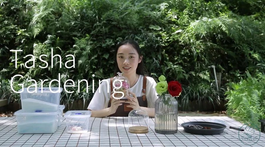 「昨日推文」哭泣的雪兔子，已经被人类挖到濒临灭绝！请高抬贵手放过它们吧！