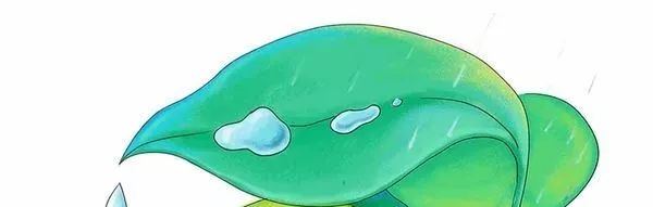 mark进公司时间,mark工作经历