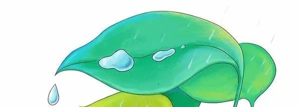 mark进公司时间,mark工作经历