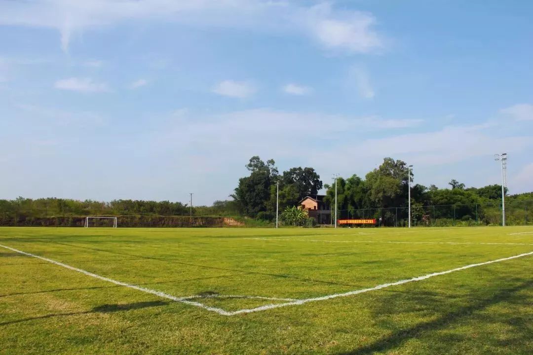 真草足球场哪里有,真草足球场重庆