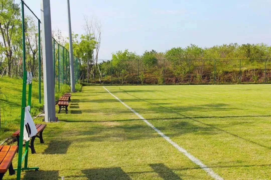 真草足球场哪里有,真草足球场重庆