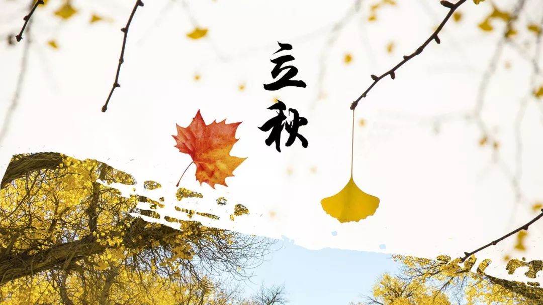 立秋︱金风送爽魅力海职