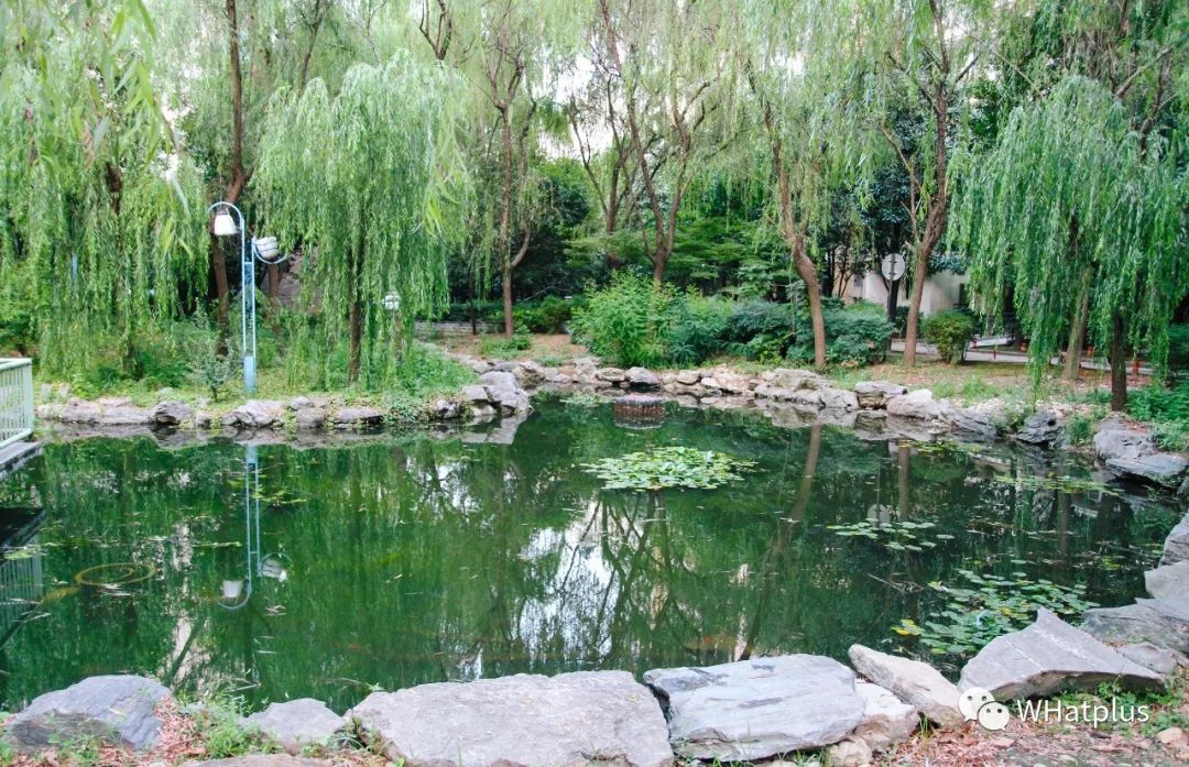 二七后湖百步亭怎么样,江岸区二七后湖百步亭