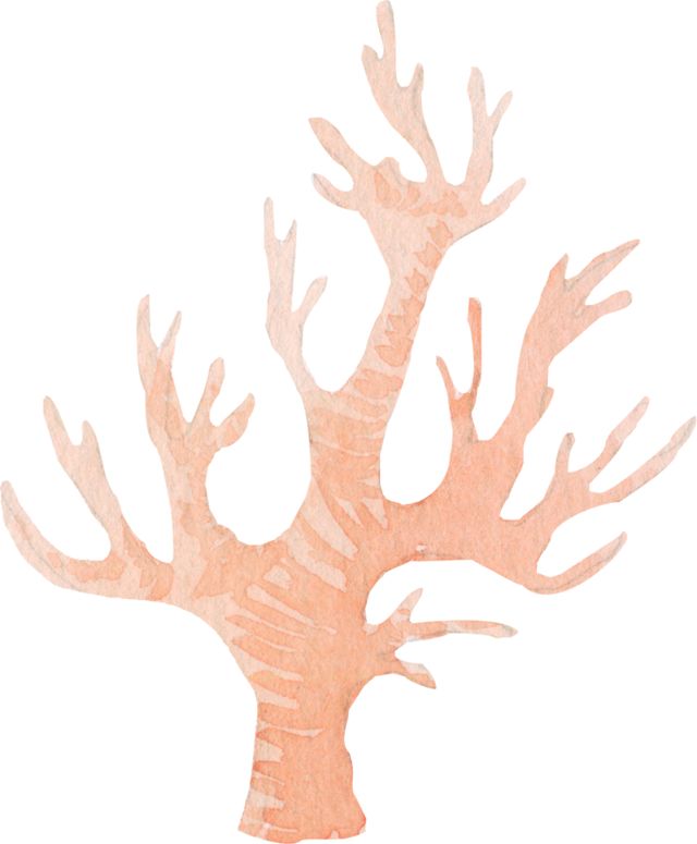 记忆|今天这个全民节日,源自十年前的一件大事!