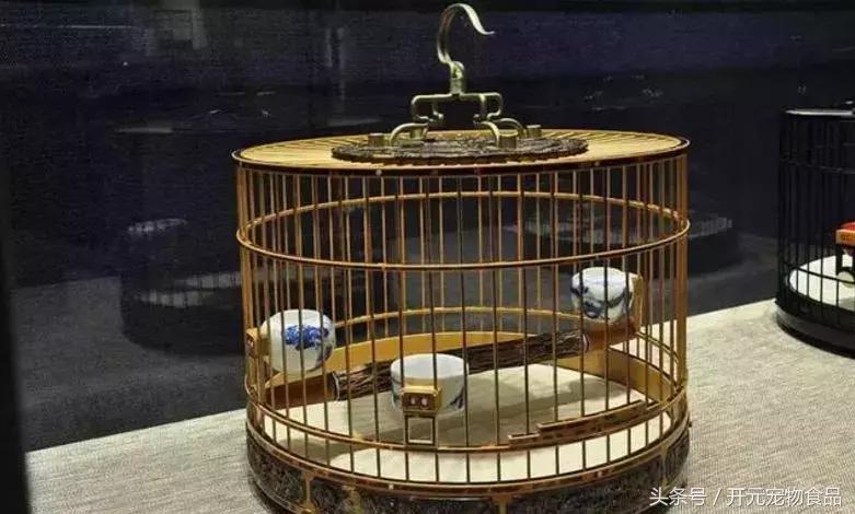 天津鸟笼文化丨北笼名家讲述鸟笼子的秘密