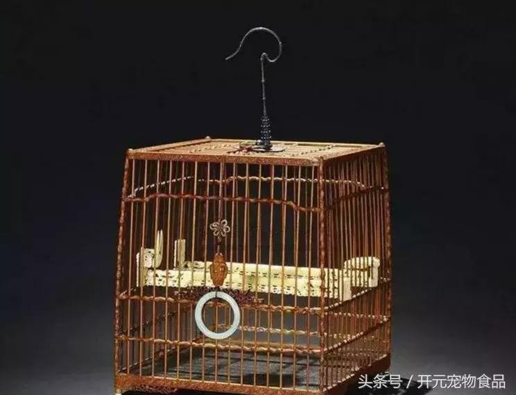 天津鸟笼文化丨北笼名家讲述鸟笼子的秘密