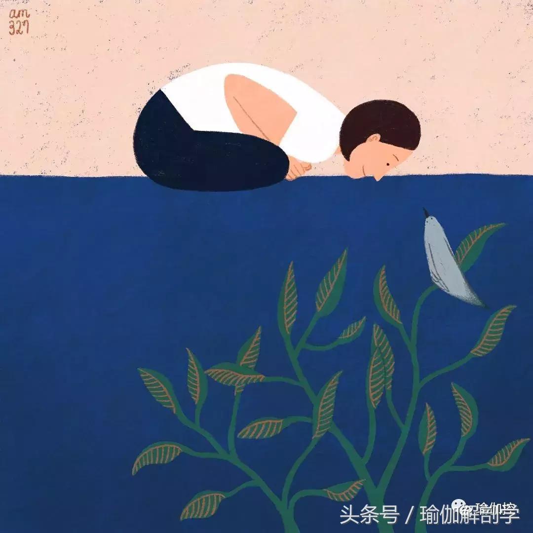 瑜伽初学者的7大禁忌,初学瑜伽的5大禁忌