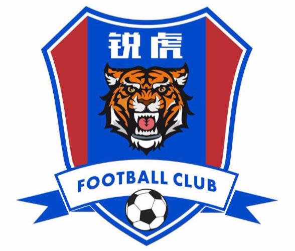 中冠球队队徽,中冠联赛logo