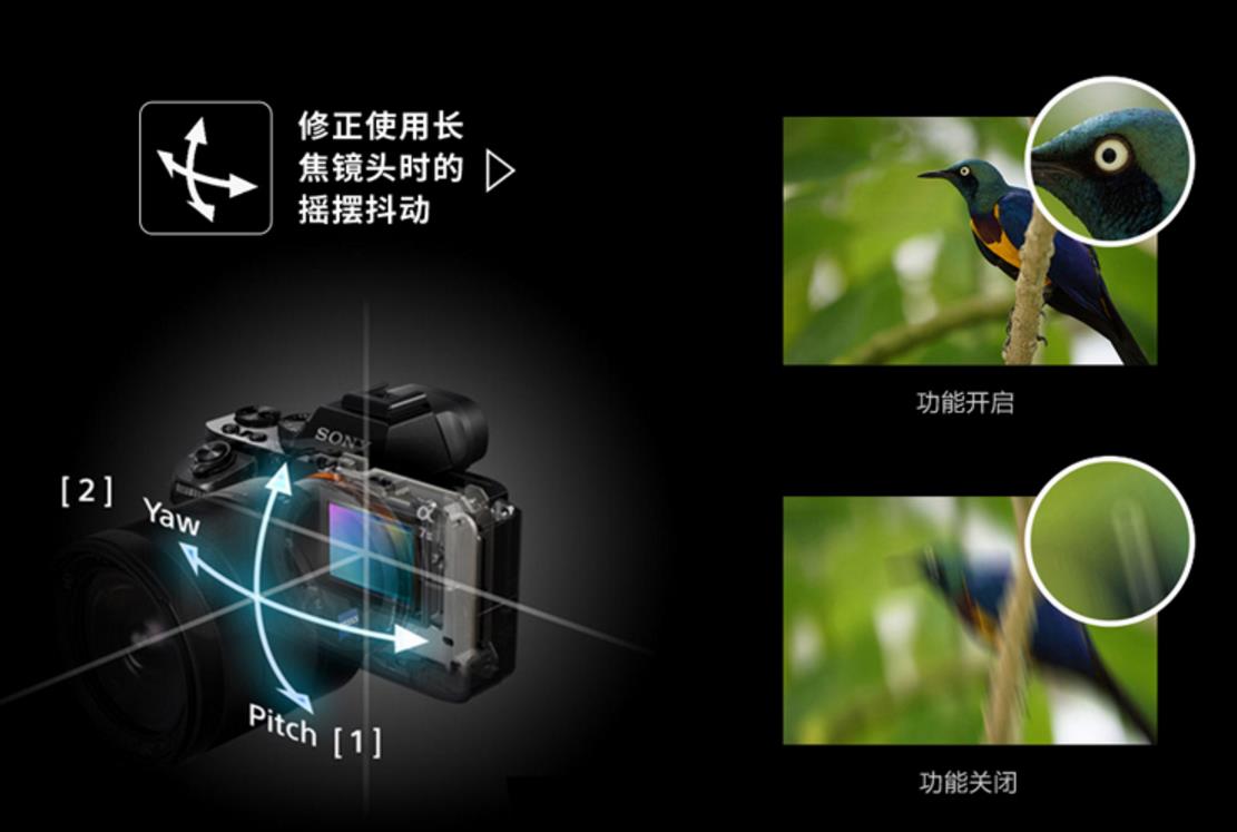 背着单反去旅行,索尼ilce-7m2