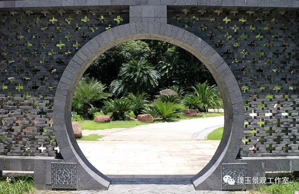 最漂亮的铁树开花,铁树开花深圳