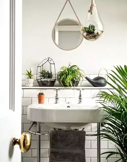 涨知识养花,涨知识养花不想长虫