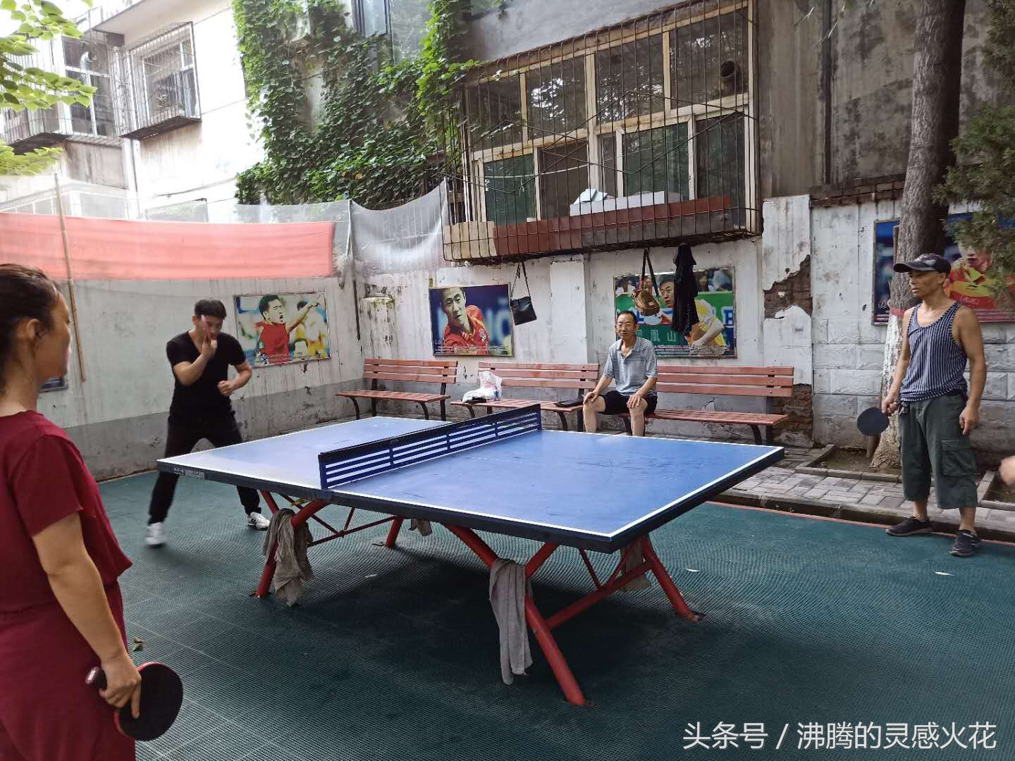 夏日运动时光记录,夏日美景和运动的快乐