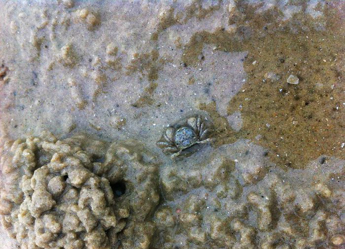 北海涠洲岛海底,北海涠洲岛火岩岛