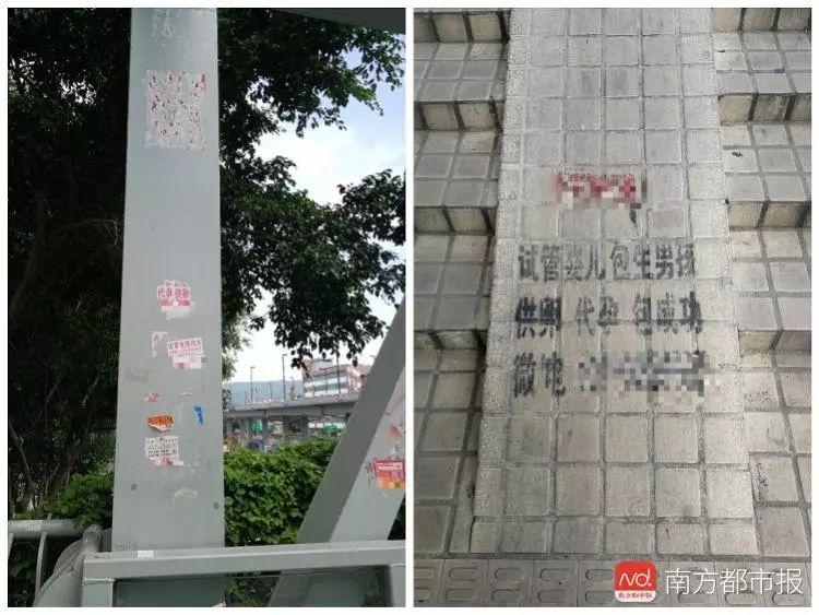 中山六院：医生走穴地下取卵“子虚乌有”，违规取卵对女性伤害极大