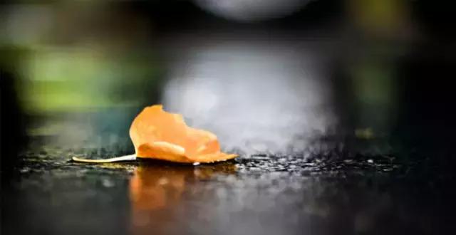 立秋安全行车注意事项,立秋已过又遇到秋乏了