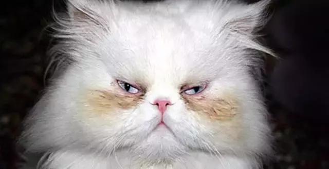 立秋安全行车注意事项,立秋已过又遇到秋乏了