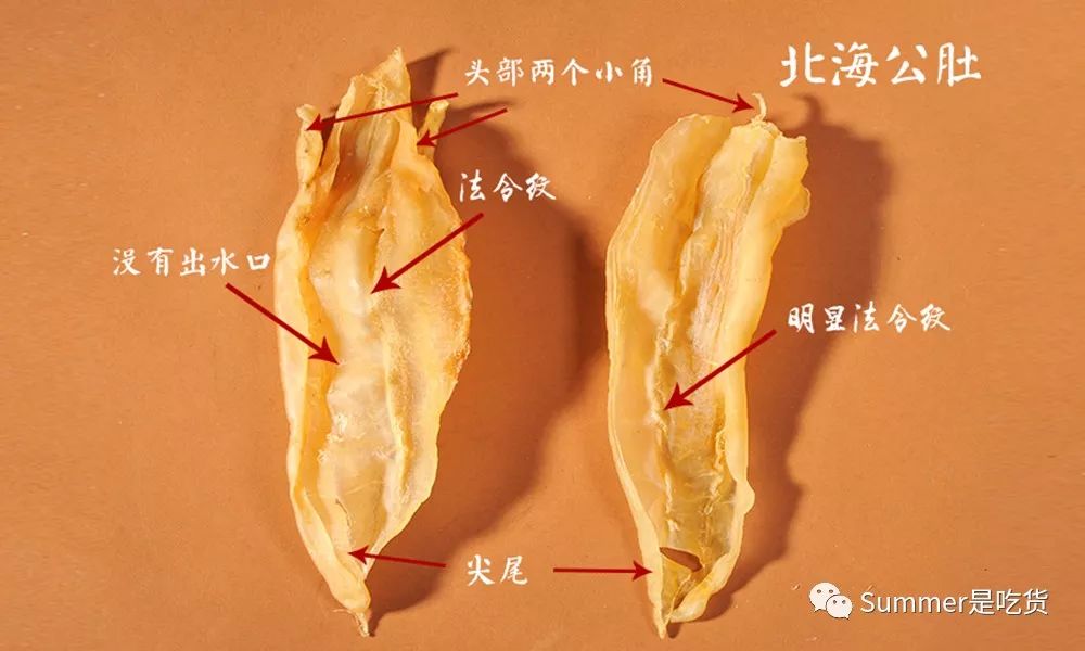 鱼胶怎么泡会增加重量,鱼胶怎么泡发全过程