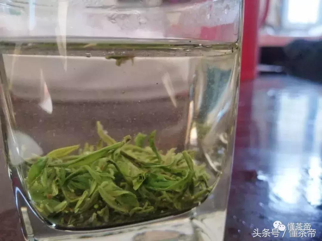 茶叶脱毛,茶叶脱毛的正确方法