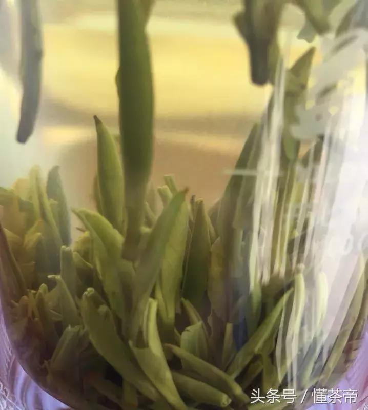 茶叶脱毛,茶叶脱毛的正确方法