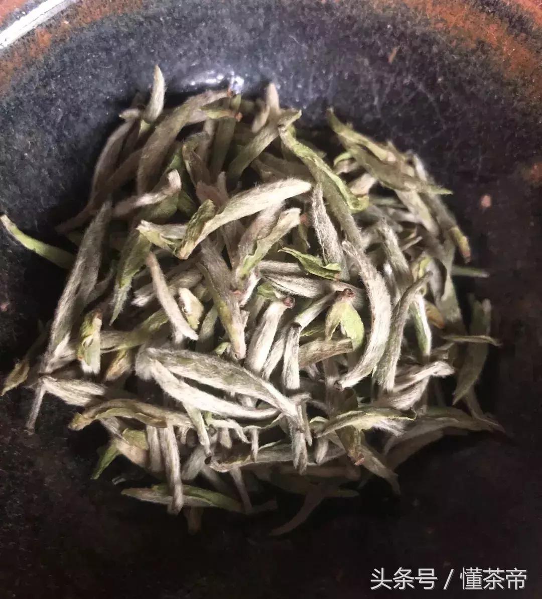 茶叶脱毛,茶叶脱毛的正确方法