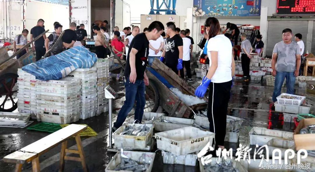 水潺批发价20元/斤跌到3元/斤!开渔,台州海鲜卖白菜价