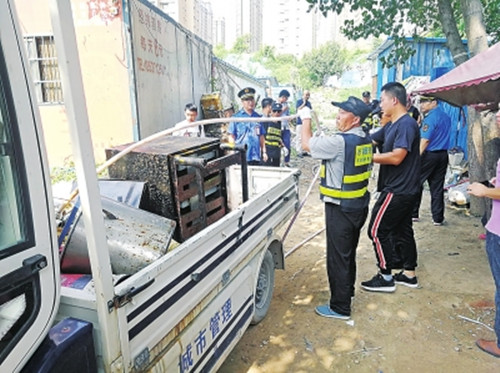 街头出现狗咬狗一幕,郑州街头抓狗