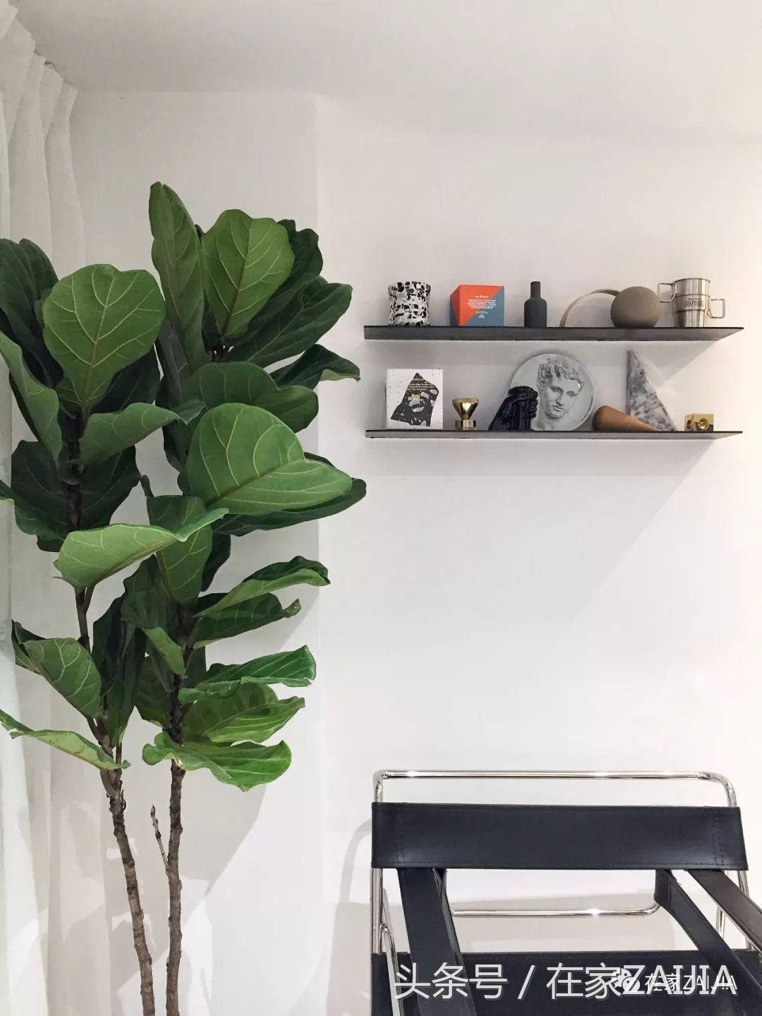 客厅正中放个大楼梯，也太好看了吧！