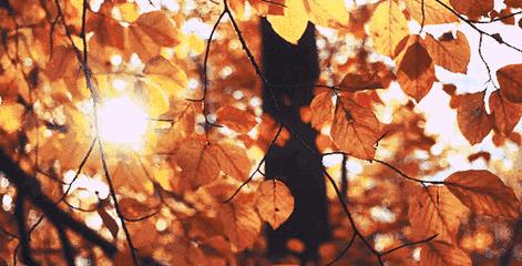 长垣县驾校哪家驾校通过率高,长垣驾校最新消息今天