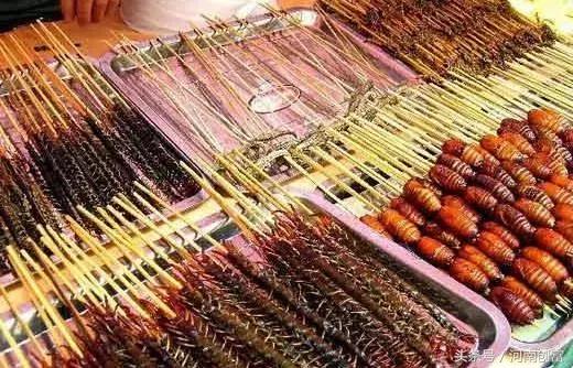 把蚂蚁蟋蟀等昆虫做成食品，是中国食品行业的新潮，还是……