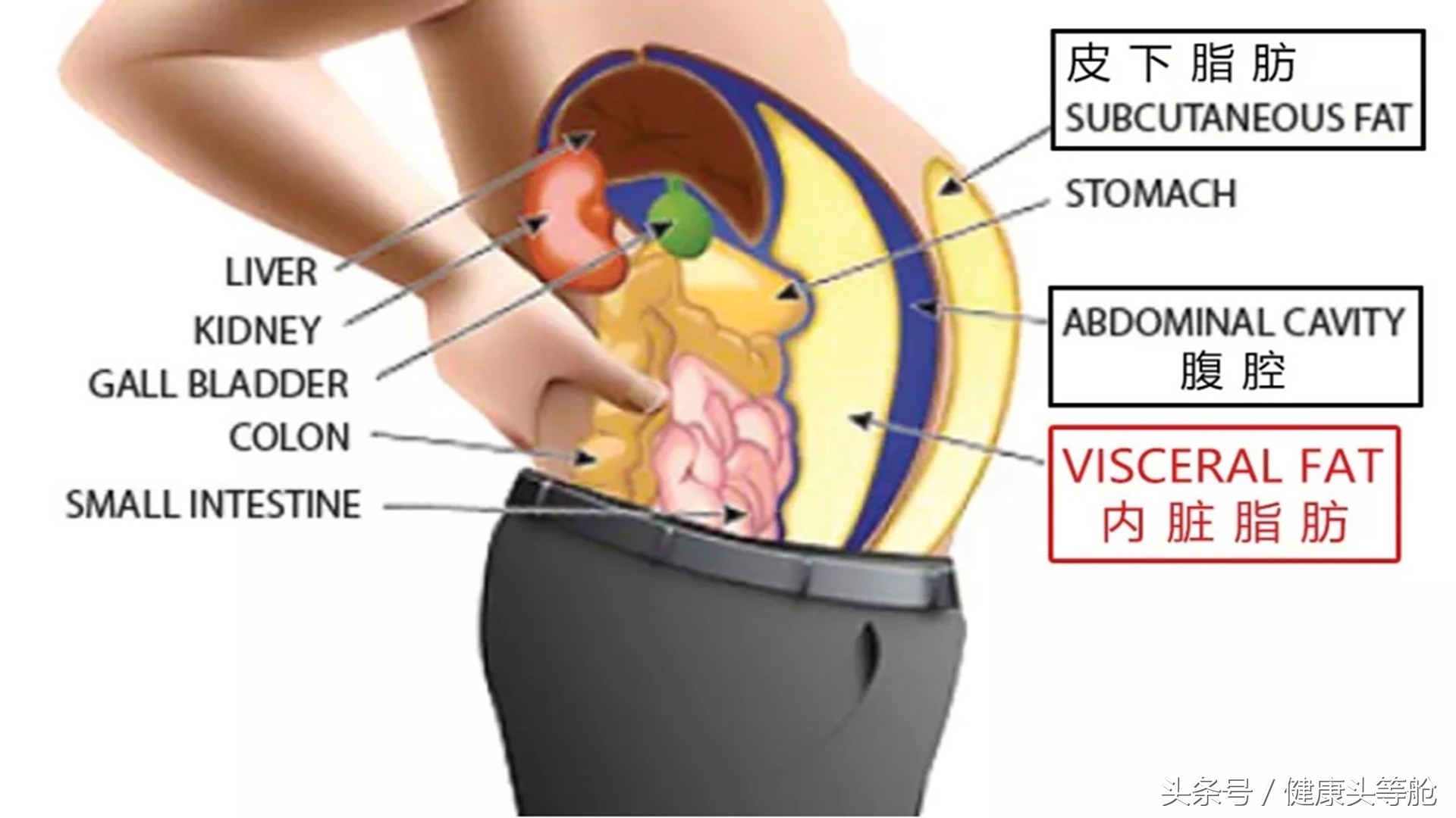 别再看体重秤了，当心自己外瘦内肥