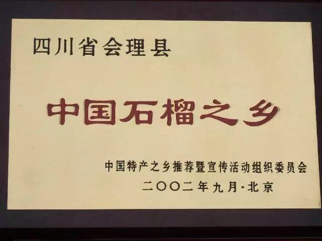 雅诗兰黛突尼斯软籽石榴,被誉为可以吃的雅诗兰黛软籽石榴