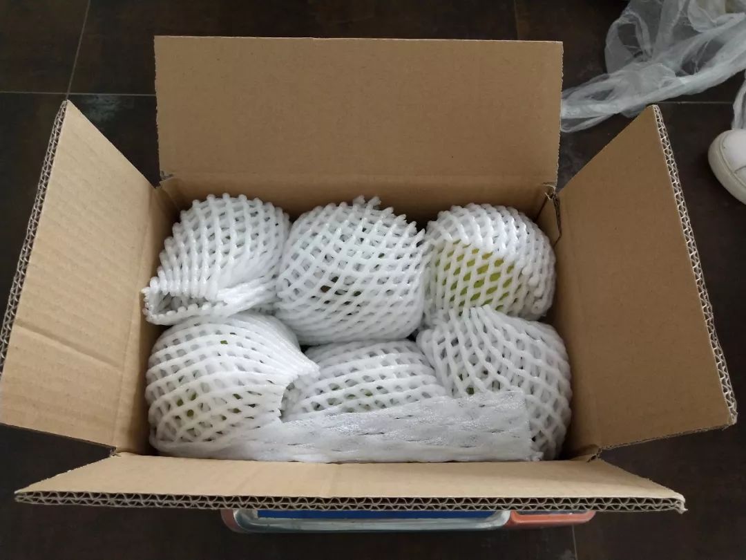 雅诗兰黛突尼斯软籽石榴,被誉为可以吃的雅诗兰黛软籽石榴