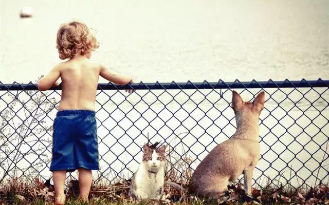 意大利/台湾参展品牌预览|CIPS上的意式风情和台式浪漫