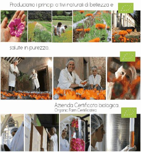 意大利/台湾参展品牌预览|CIPS上的意式风情和台式浪漫